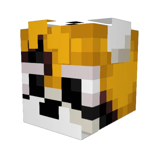 sonadows Minecraft avatar head, 3D render
