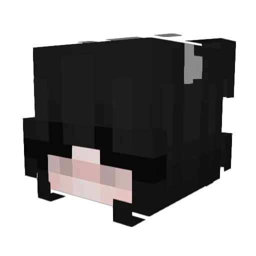 sonaeclipse Minecraft avatar head, 3D render