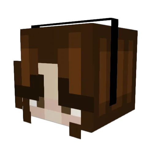 sonagroceries Minecraft avatar head, 3D render