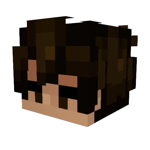 sonarbuge Minecraft avatar head, 3D render