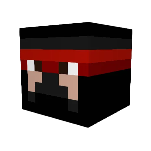 sonarix_ Minecraft avatar head, 3D render
