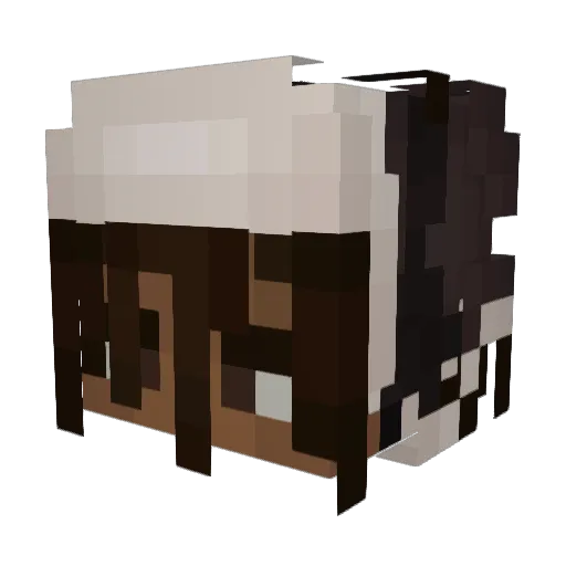 sonder_franc Minecraft avatar head, 3D render