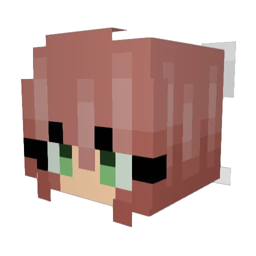 sonderpack Minecraft avatar head, 3D render