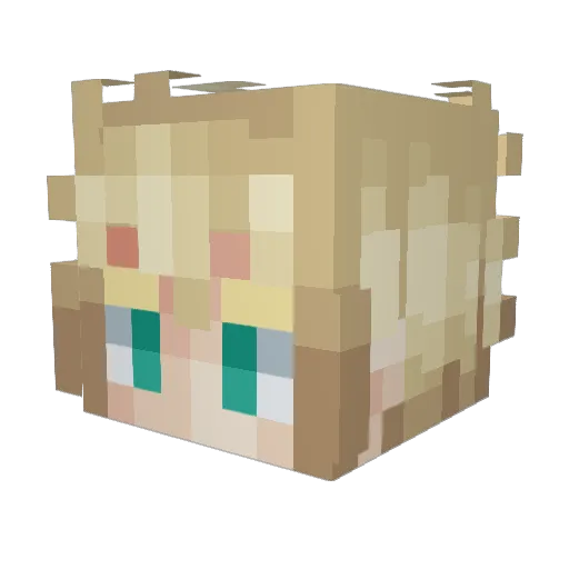 sondrago Minecraft avatar head, 3D render
