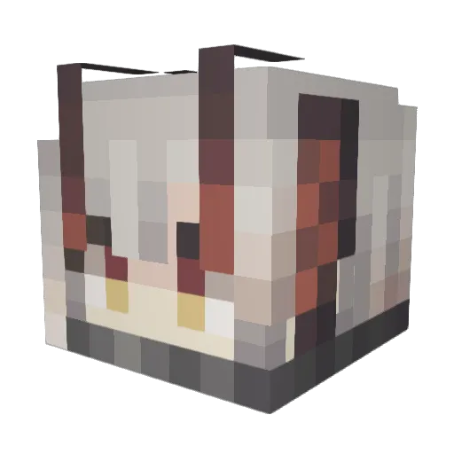 sonebr Minecraft avatar head, 3D render