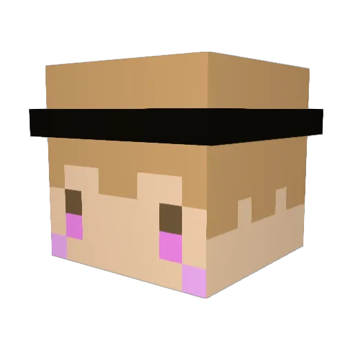 sonfn_ Minecraft avatar head, 3D render