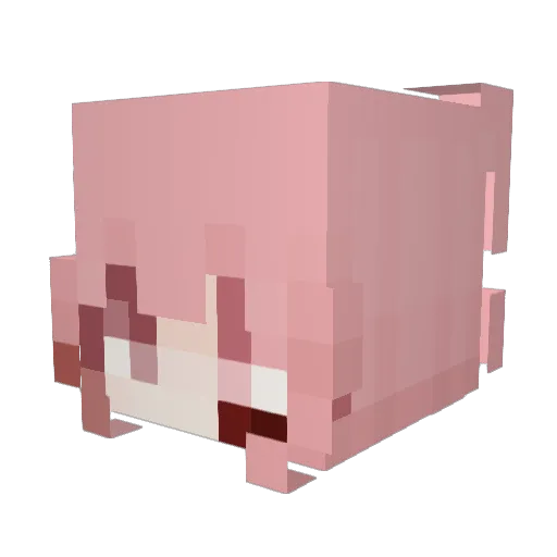 songslwt Minecraft avatar head, 3D render