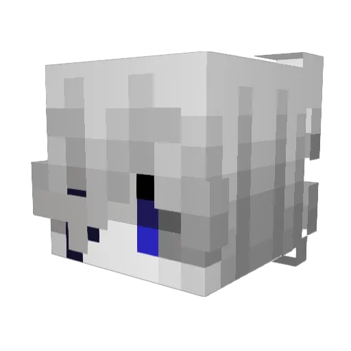 sonhas Minecraft avatar head, 3D render