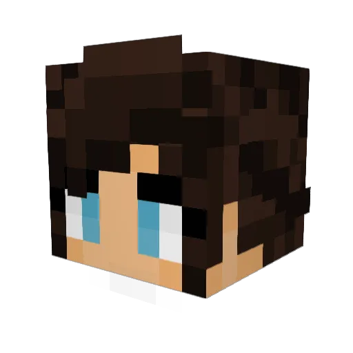 sonic1317 Minecraft avatar head, 3D render