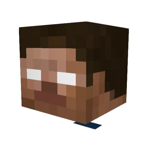 sonicMS2008 Minecraft avatar head, 3D render