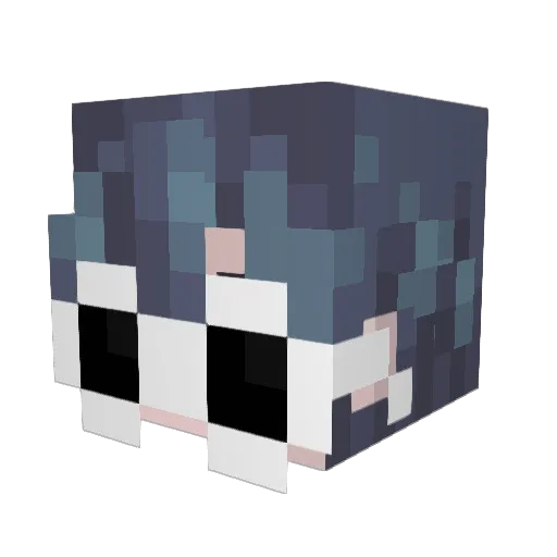 sonic_will Minecraft avatar head, 3D render
