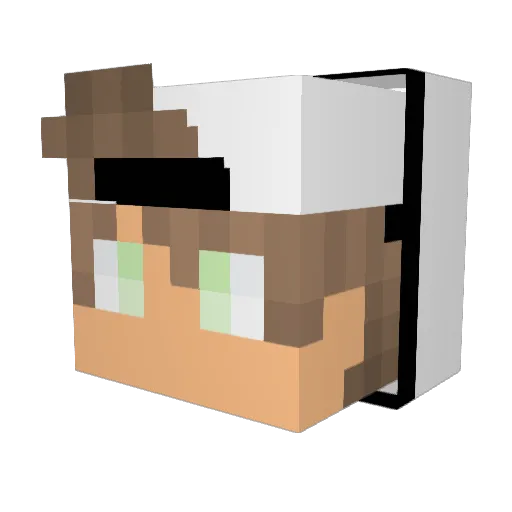 sonicblitz57 Minecraft avatar head, 3D render