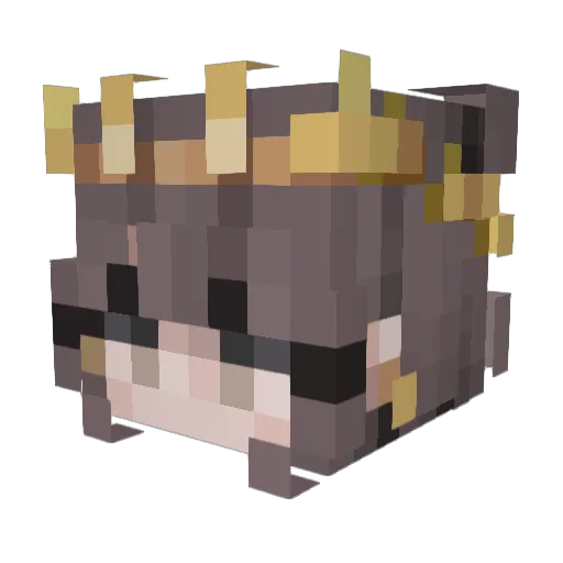 sonicc_xx Minecraft avatar head, 3D render