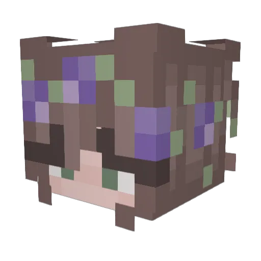 soniccat5678 Minecraft avatar head, 3D render