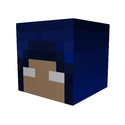 sonicdestruktr Minecraft avatar head, 3D render