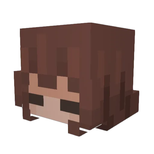 sonicelpros Minecraft avatar head, 3D render