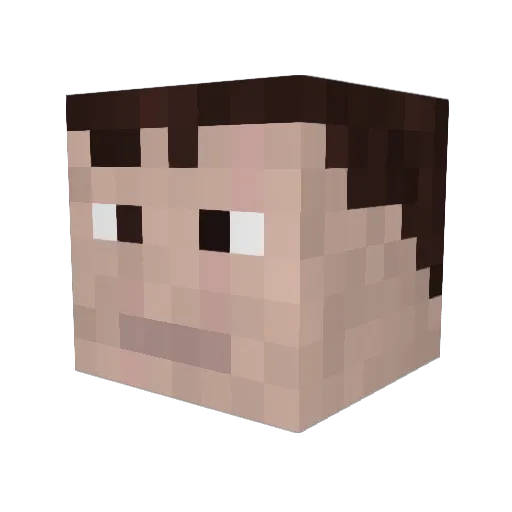 sonicfan315 Minecraft avatar head, 3D render