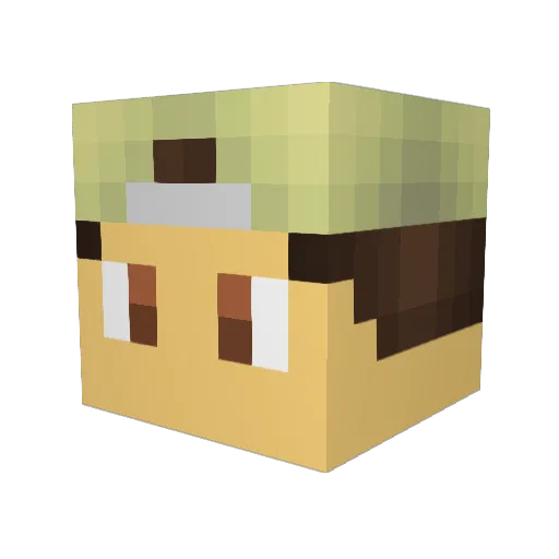 sonicgamer3 Minecraft avatar head, 3D render