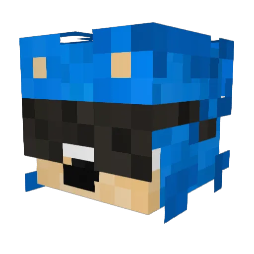sonicpl123 Minecraft avatar head, 3D render