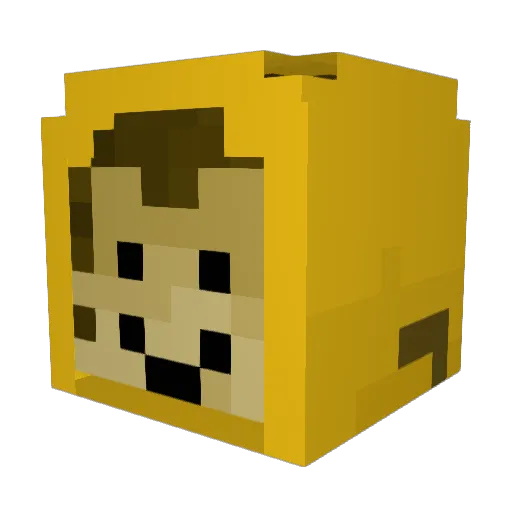 sonicpretezel Minecraft avatar head, 3D render
