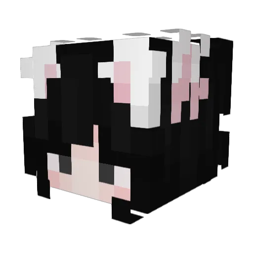 sonicsadhog Minecraft avatar head, 3D render