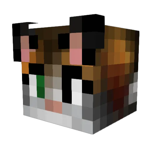 sonicstrong1979 Minecraft avatar head, 3D render