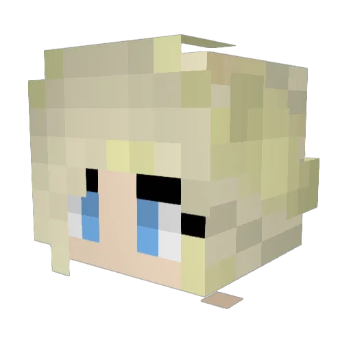 sonicucu Minecraft avatar head, 3D render