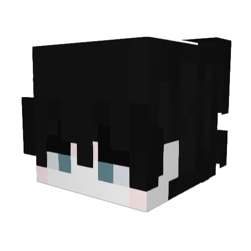 soniczr Minecraft avatar head, 3D render