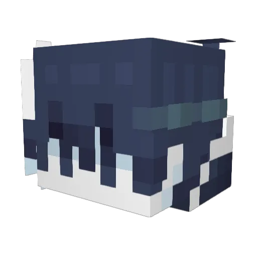 sonix135 Minecraft avatar head, 3D render