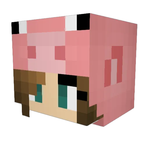 sonixxxxx Minecraft avatar head, 3D render