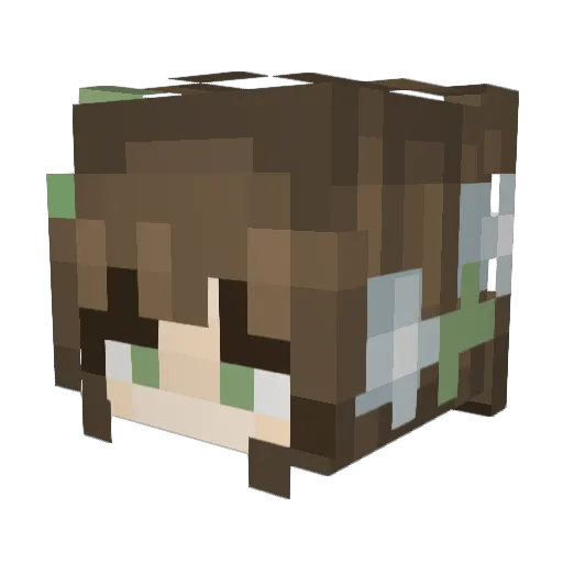sonjaWD Minecraft avatar head, 3D render