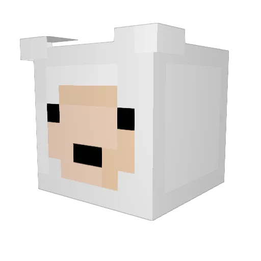 sonjacarless Minecraft avatar head, 3D render