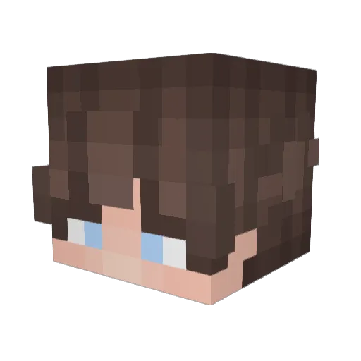 sonjihun12 Minecraft avatar head, 3D render