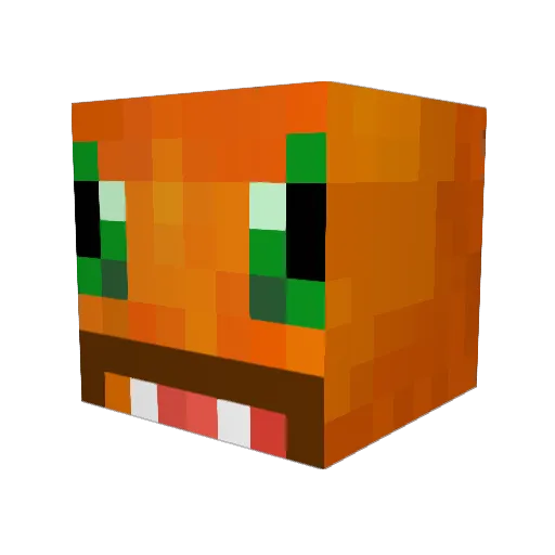 sonnorpp2 Minecraft avatar head, 3D render