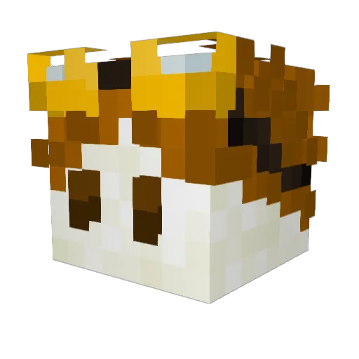 sonnshinee Minecraft avatar head, 3D render