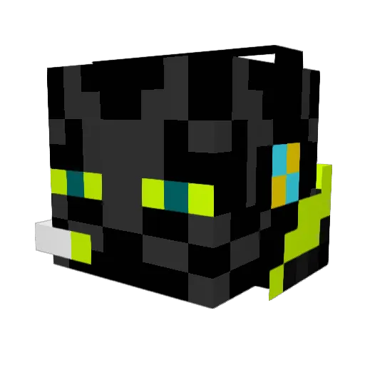 sonnyboy209 Minecraft avatar head, 3D render