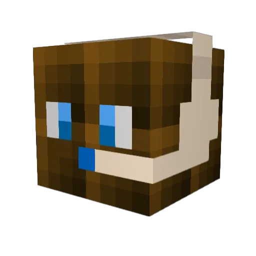 sonnyjj30 Minecraft avatar head, 3D render