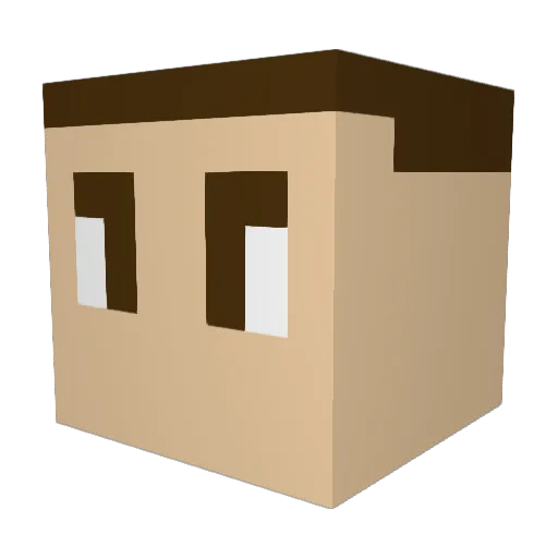 sonnysmalls Minecraft avatar head, 3D render