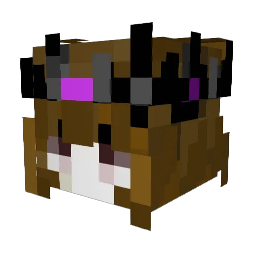 sonnyyboy Minecraft avatar head, 3D render