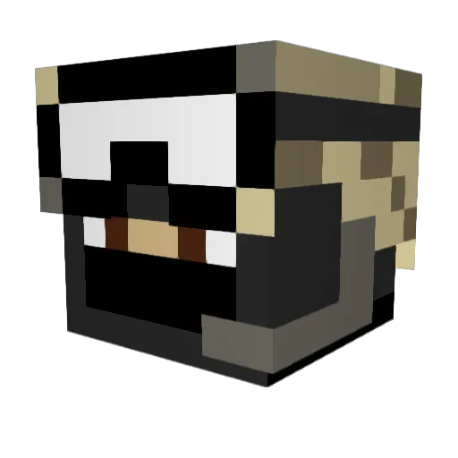 sonofmuffinhead Minecraft avatar head, 3D render