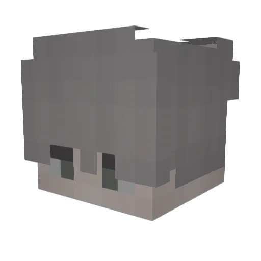 sonoracartel Minecraft avatar head, 3D render