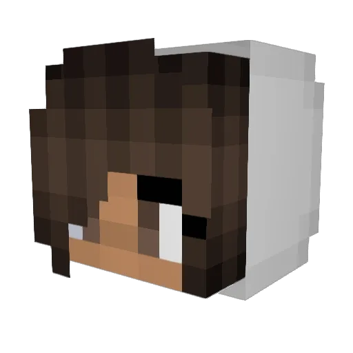 sonrenzo Minecraft avatar head, 3D render