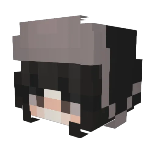 sonshlyhi Minecraft avatar head, 3D render