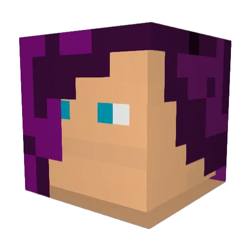 sonubeta Minecraft avatar head, 3D render