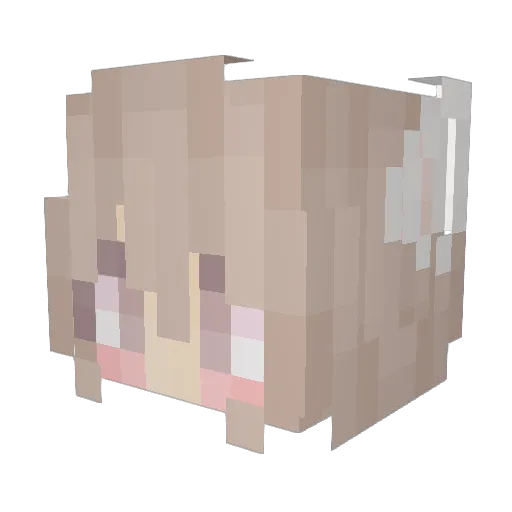sony112502 Minecraft avatar head, 3D render