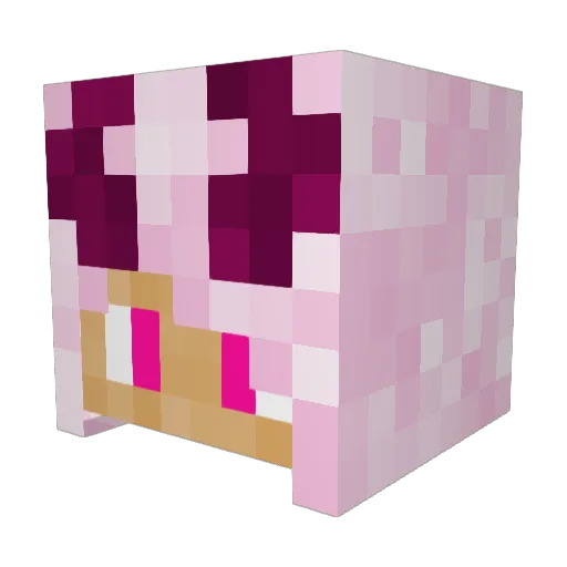 sonyammy Minecraft avatar head, 3D render