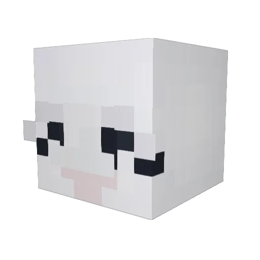 sooget Minecraft avatar head, 3D render