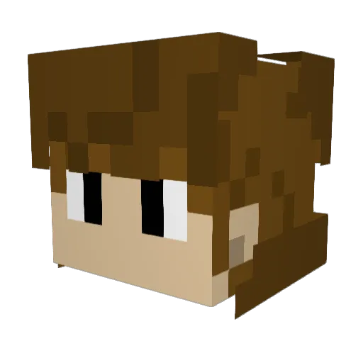 sookicarre2 Minecraft avatar head, 3D render