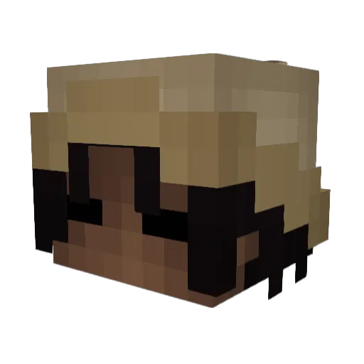 soonami_ Minecraft avatar head, 3D render
