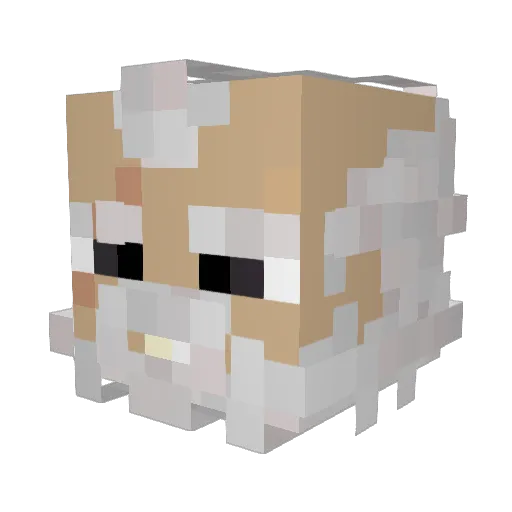 soonerfan1235 Minecraft avatar head, 3D render